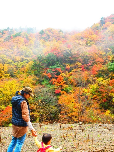 【紅葉・見ごろ】豊根村霧石峠