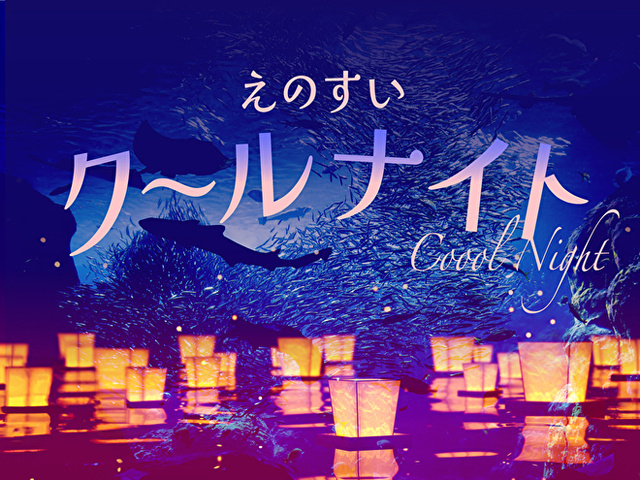 えのすいクールナイト