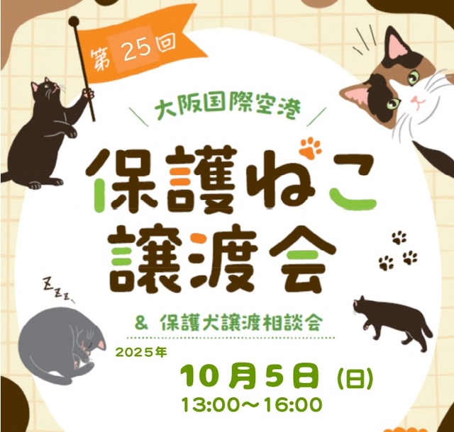 第26回 大阪国際空港 保護ねこ譲渡会