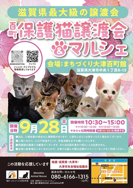 百町保護猫譲渡会&マルシェ