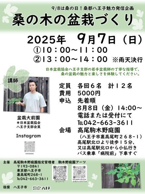 桑の木の盆栽づくり