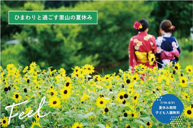 The Fantastical 'Flower Night Market' Decorating the Night Satoyama