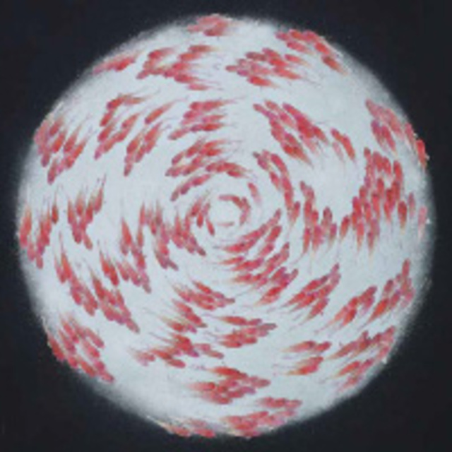 Masaki Oya Japanese Painting Exhibition