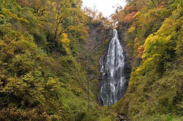 【紅葉・見ごろ】くろくまの滝