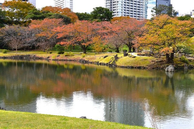 【紅葉・見ごろ】旧芝離宮恩賜庭園