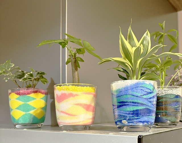 ハイドロカルチャー植え込みワークショップ