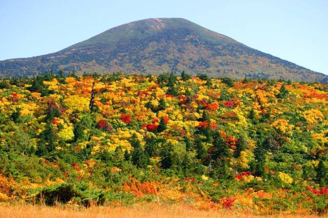 【紅葉・見ごろ】八甲田連峰(八甲田山)