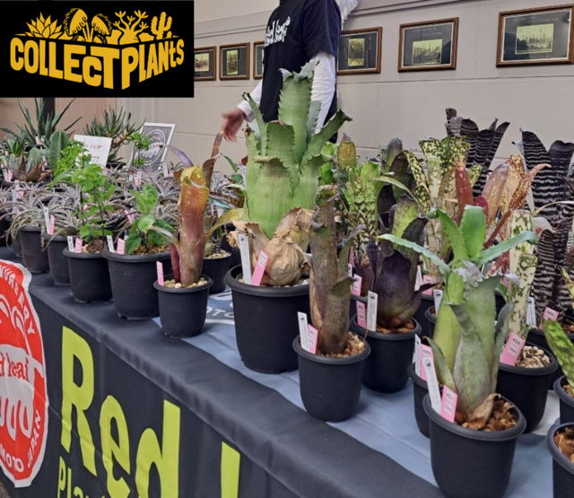 Collect Plants　Vol.1