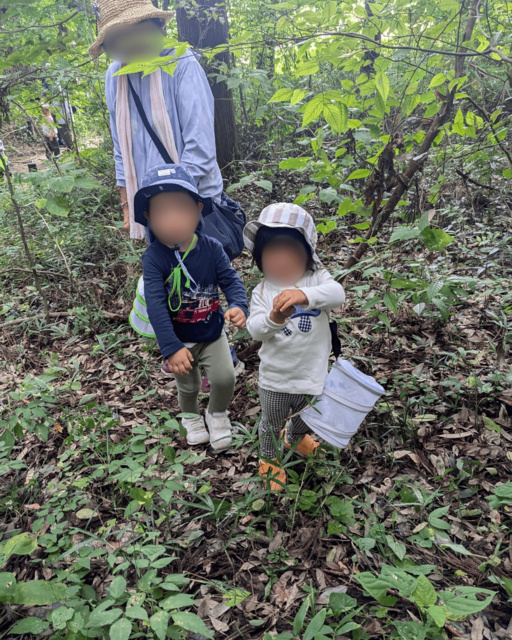 虫取り冒険 in 新治市民の森
