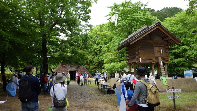 昆虫ハンティング　in 家原遺跡公園