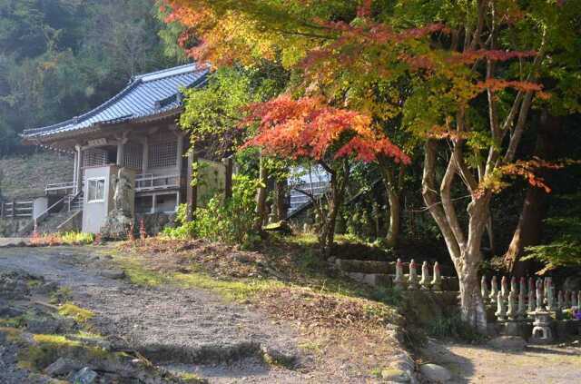 【紅葉・見ごろ】鷹栖観音堂