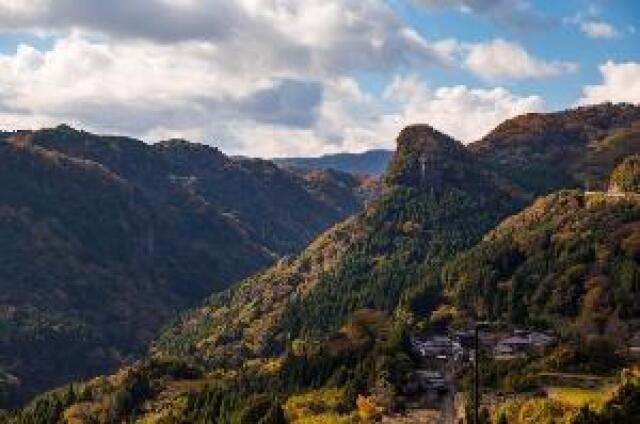 【紅葉・見ごろ】西椎屋