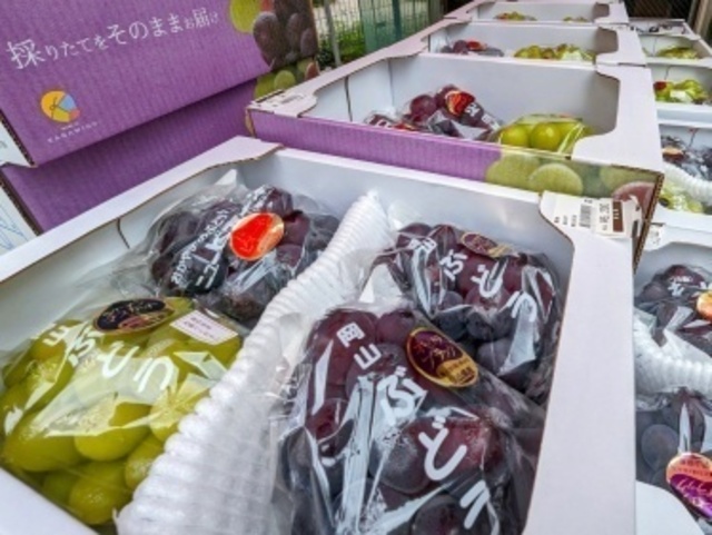 北おおさか信用金庫 秋のぶどうフェア（本店）