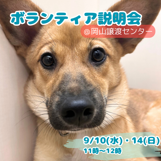 ボランティア説明会