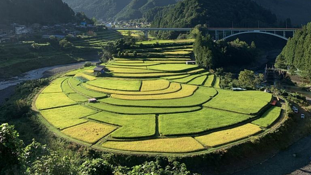 棚田ウォーク in あらぎ島