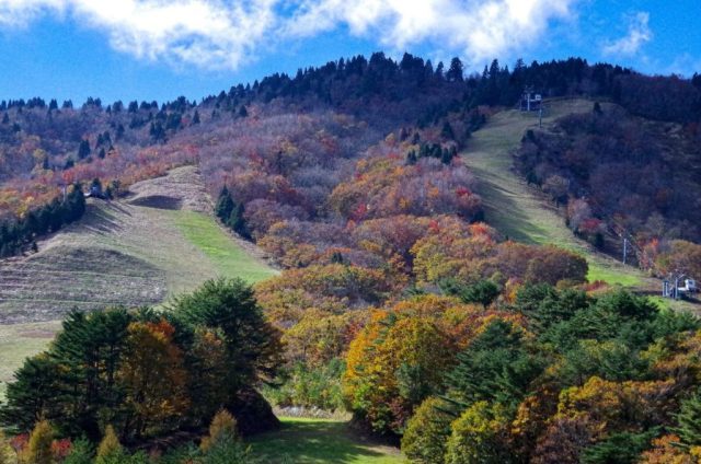【紅葉・見ごろ】恐羅漢山