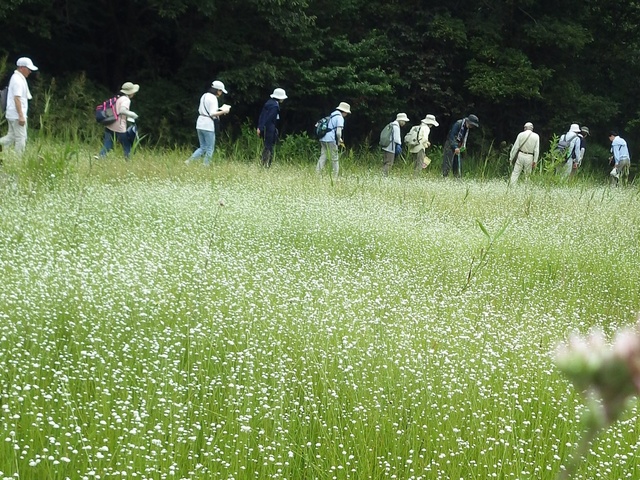 Nature Watching (September)