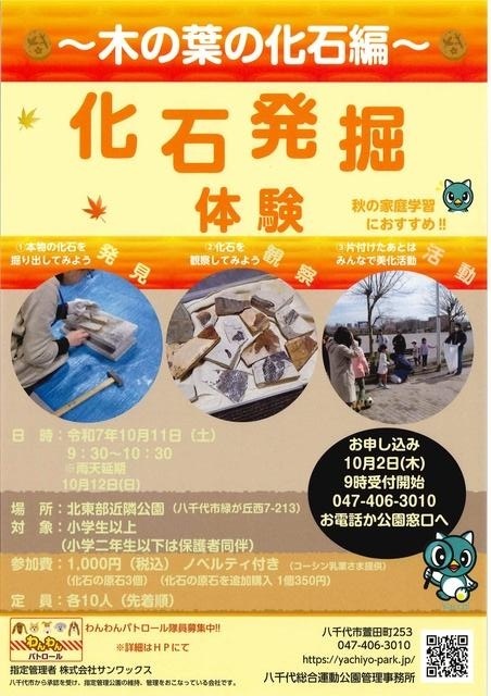 化石発掘体験