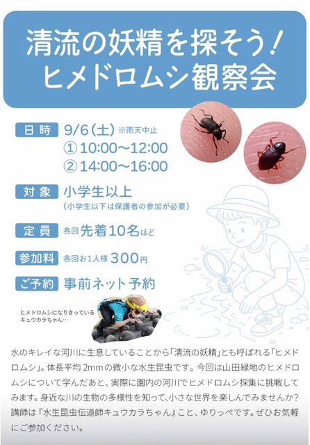 清流の妖精を探そう!ヒメドロムシ観察会