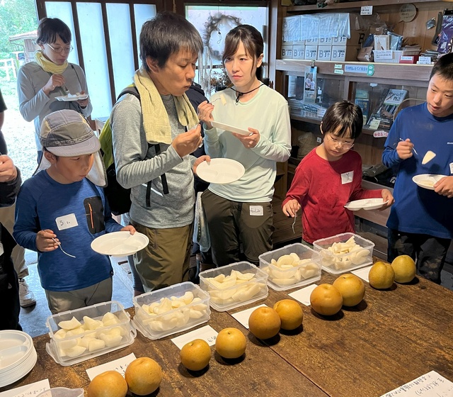稲刈りと地元名産ナシの食べくらべ