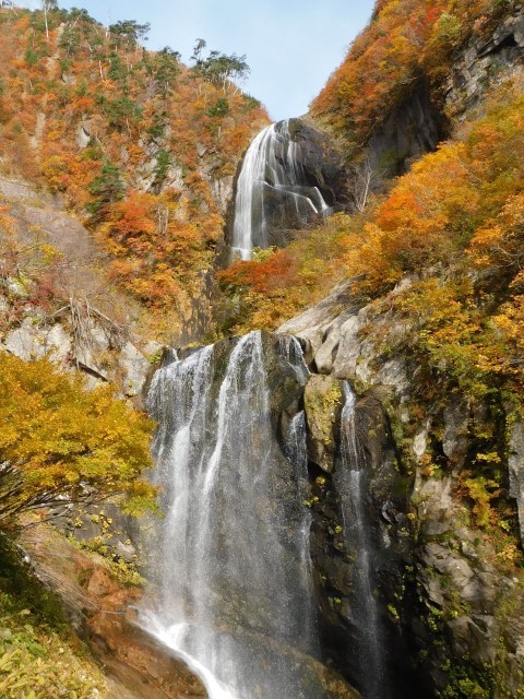 【紅葉・見ごろ】安の滝