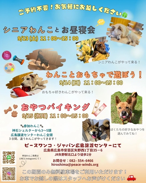 保護犬に会いに行こう!