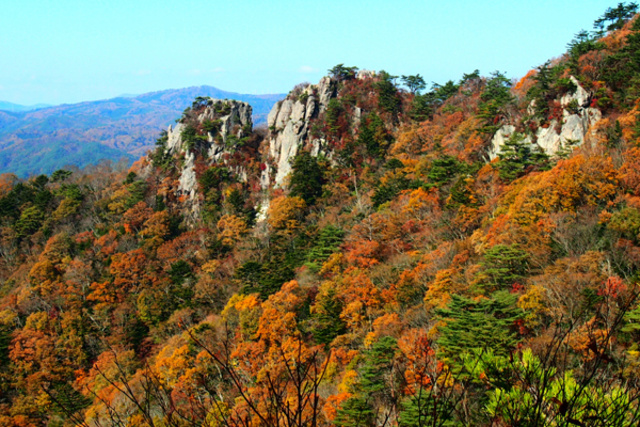 【紅葉・見ごろ】二ツ箭山