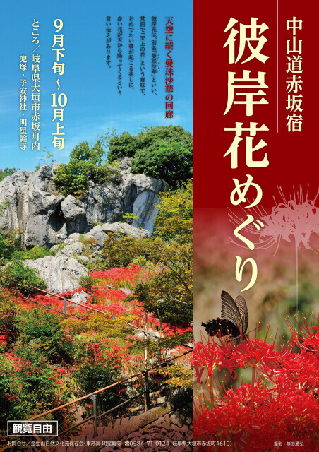 中山道赤坂宿 彼岸花めぐり