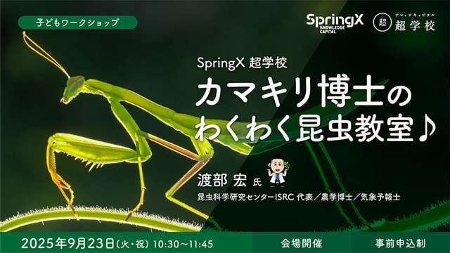 カマキリ博士のわくわく昆虫教室