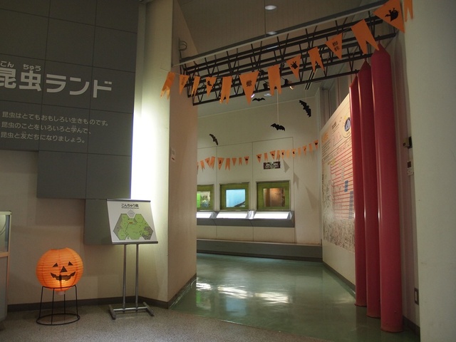 ハロウィンクイズラリー