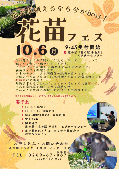 花苗フェス
