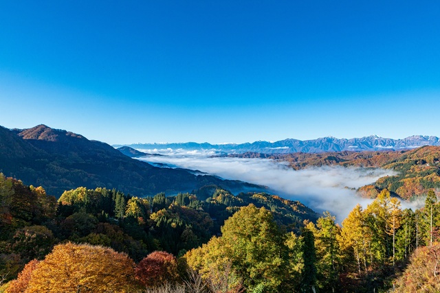 【紅葉・見ごろ】鬼無里 大望峠