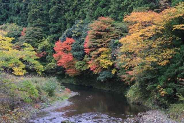 【紅葉・見ごろ】湯川渓谷(さがり滝)