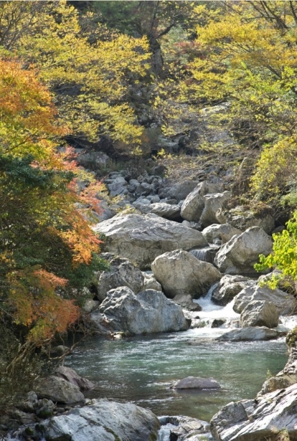 【紅葉・見ごろ】岩屋川渓谷