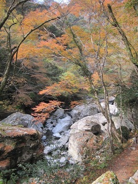 【紅葉・見ごろ】中津渓谷