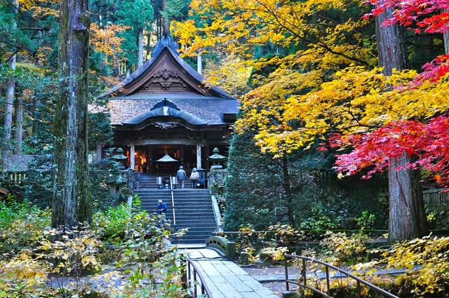 【紅葉・見ごろ】光前寺