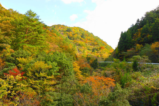 【紅葉・見ごろ】松ヶ谷渓谷