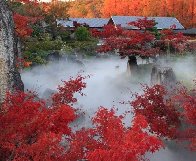 【紅葉・見ごろ】愛・地球博記念公園 日本庭園