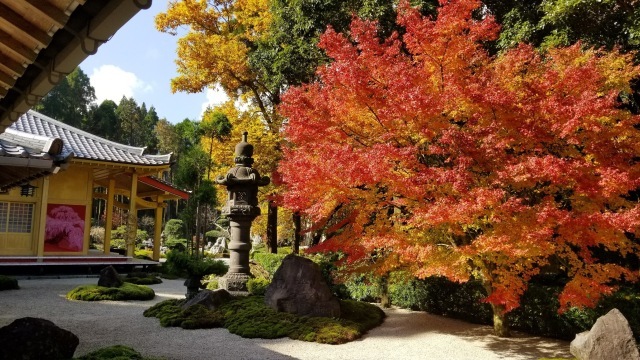 【紅葉・見ごろ】真言宗 不動山青隆寺