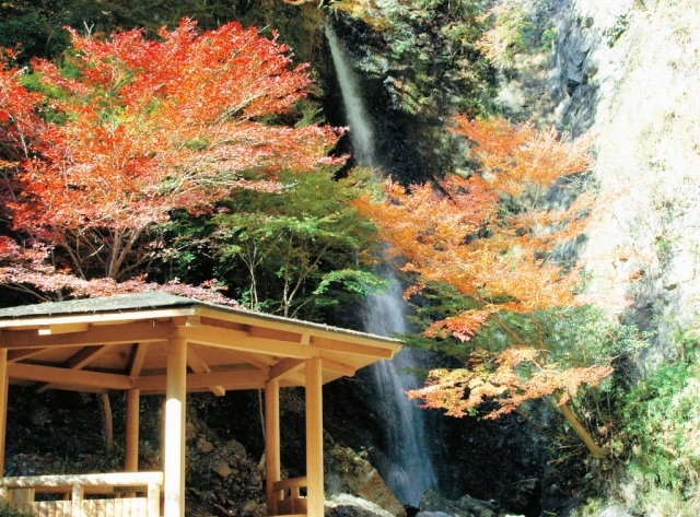 【紅葉・見ごろ】金剛の滝・龍頭の滝