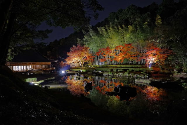常栄寺雪舟庭秋のライトアップ~光で描く雪舟の世界~