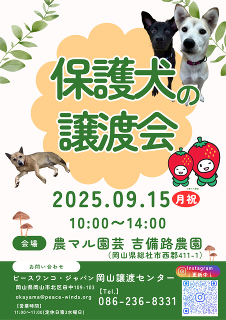 農マル園芸譲渡会(9月)