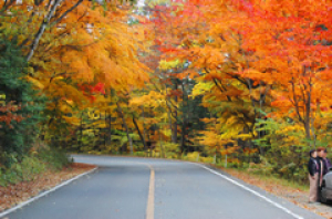【紅葉・見ごろ】日塩もみじライン