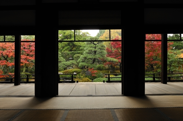 正伝永源院 秋の庭園特別公開