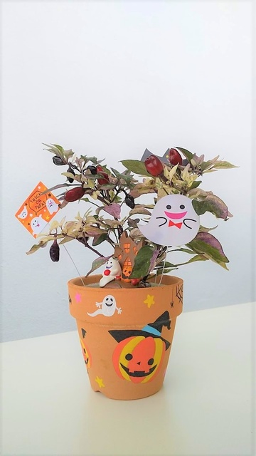 カラフルとうがらしのハロウィンポット作り