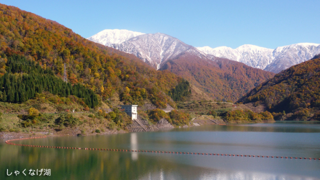 【紅葉・見ごろ】しゃくなげ湖(三国川ダム)