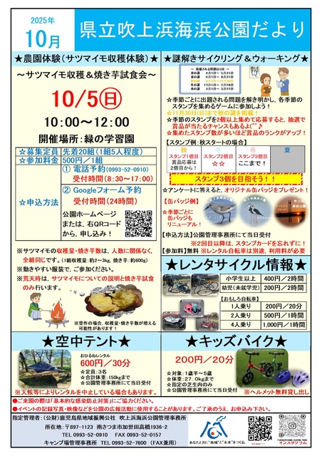 サツマイモ収穫体験