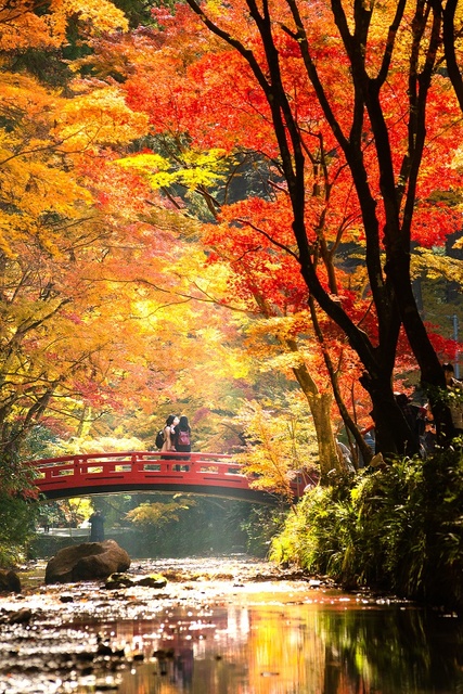 小國神社 もみじまつり