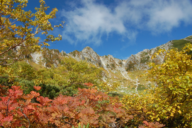 【紅葉・見ごろ】千畳敷カール