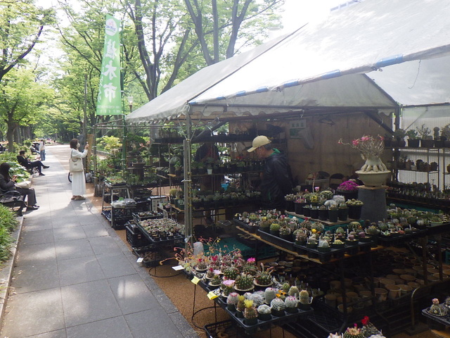 秋の植木市（靱公園）